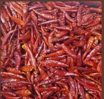 Spices